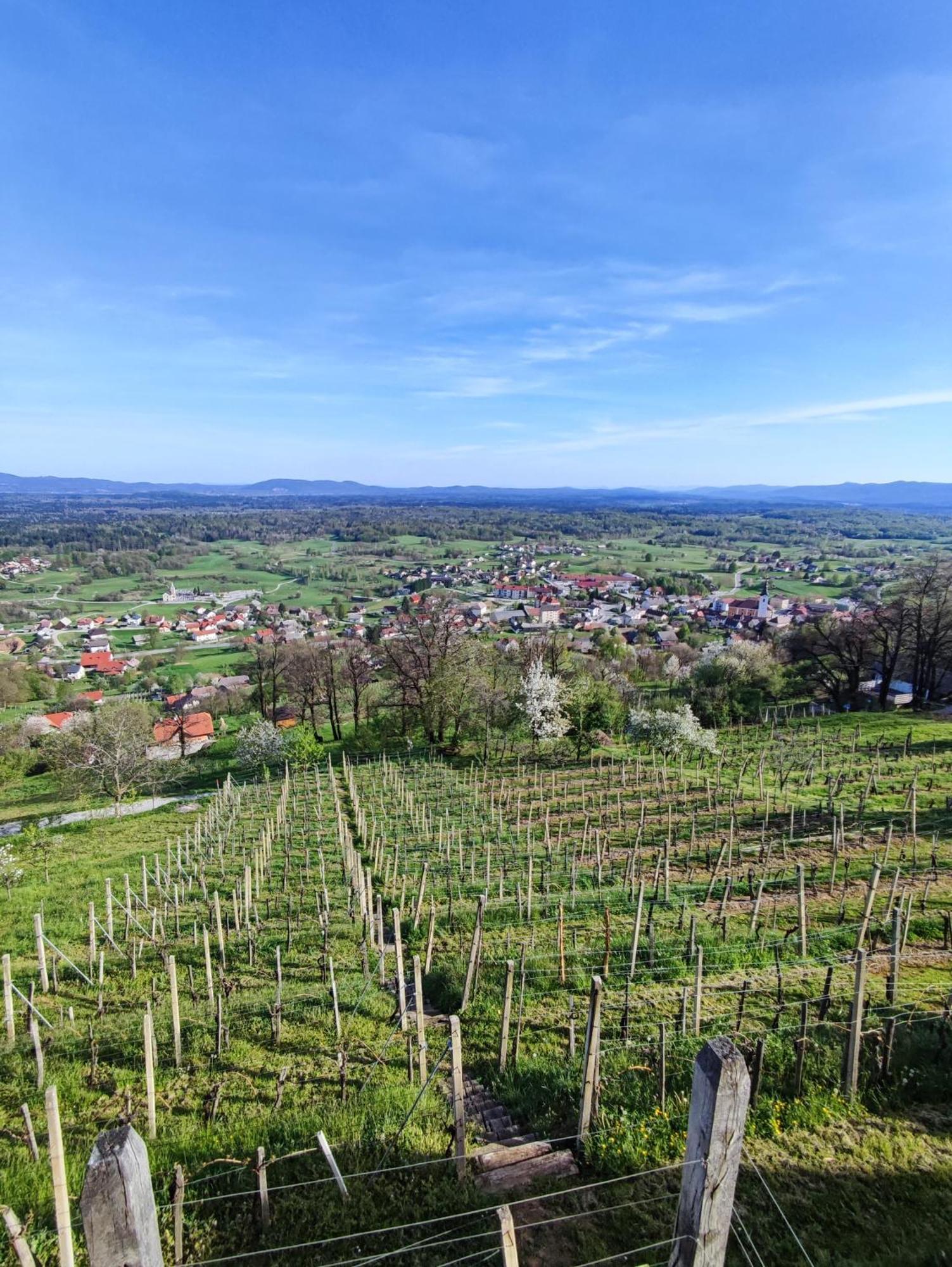 Zidanica-Vineyard Cottage Jakse Semic Екстер'єр фото
