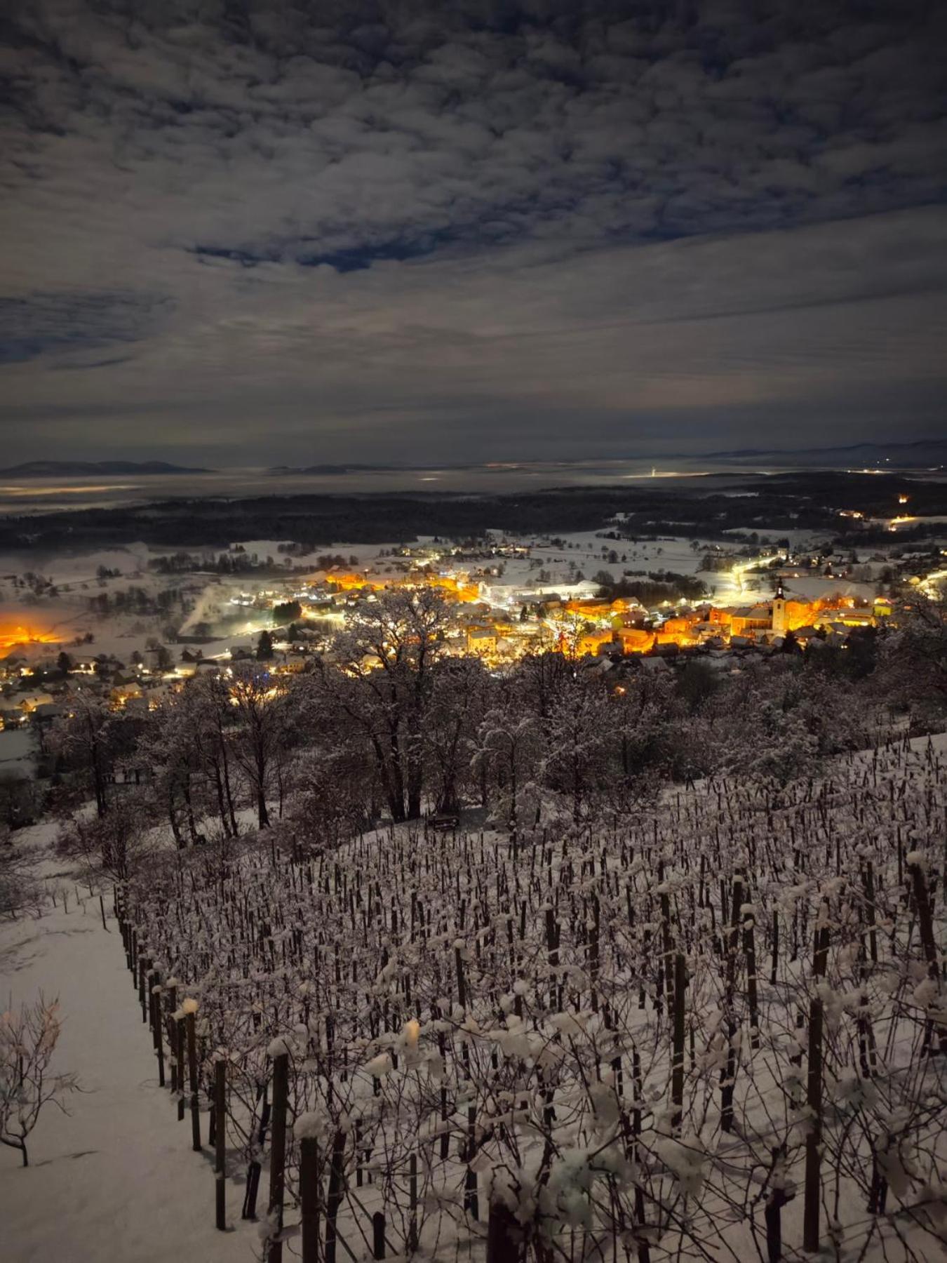 Zidanica-Vineyard Cottage Jakse Semic Номер фото
