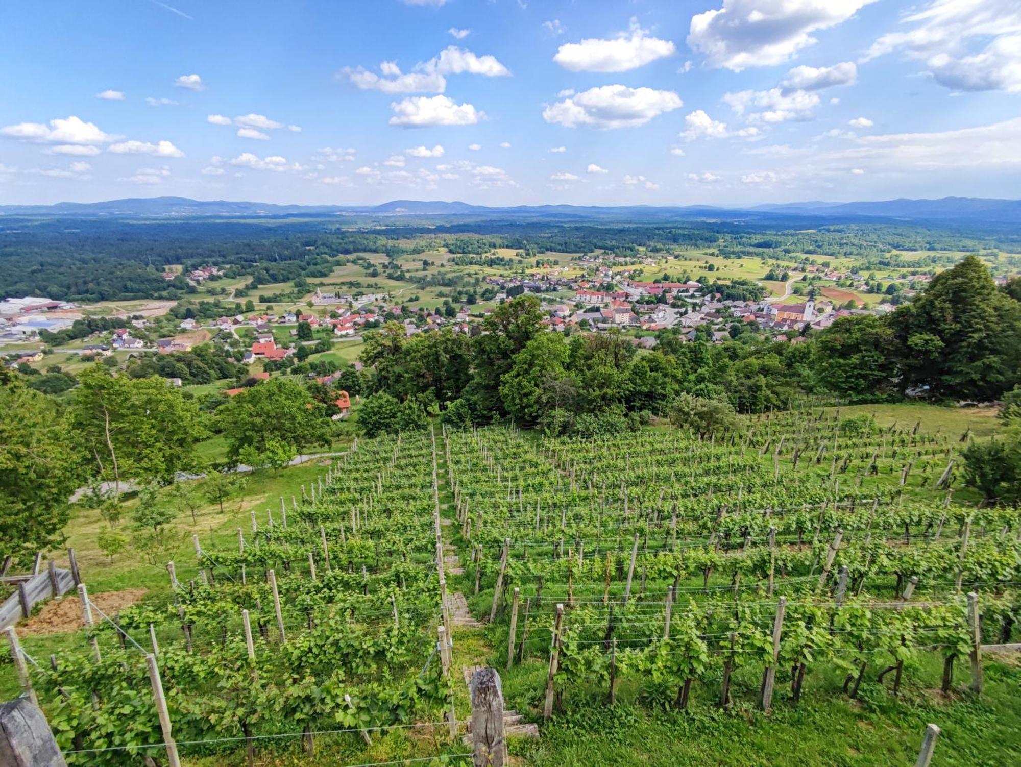 Zidanica-Vineyard Cottage Jakse Semic Екстер'єр фото